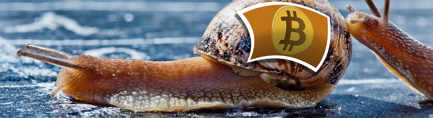 ما الذي يهدد البيتكوين: 18 عملة مشفرة أغلى من مليار دولار