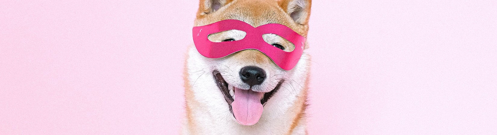 Blockchain.com Lists DOGE
