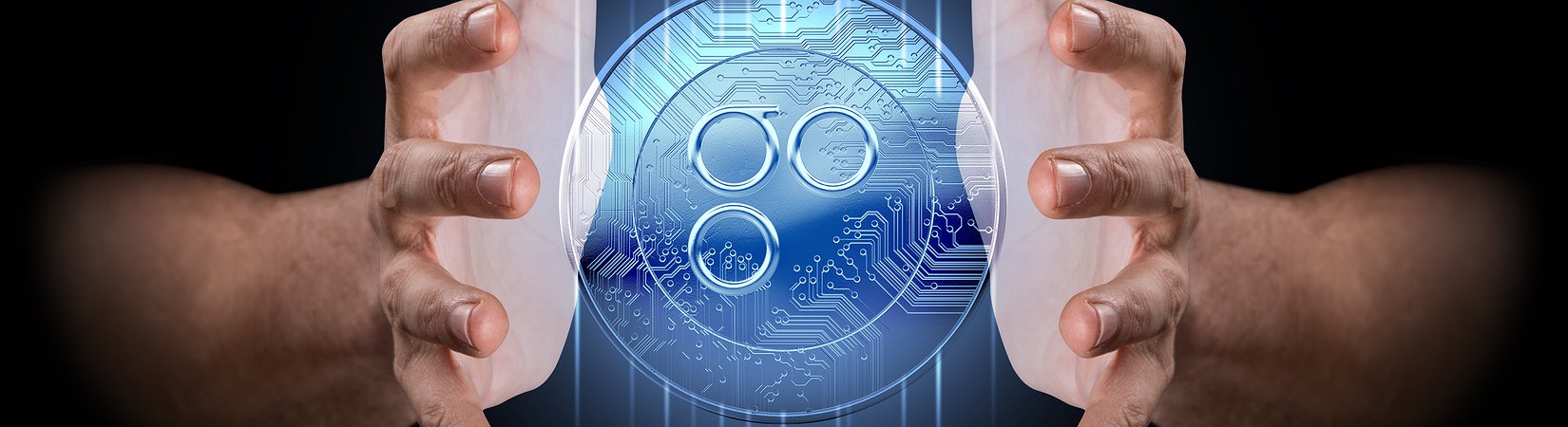 Guida completa a OmiseGO