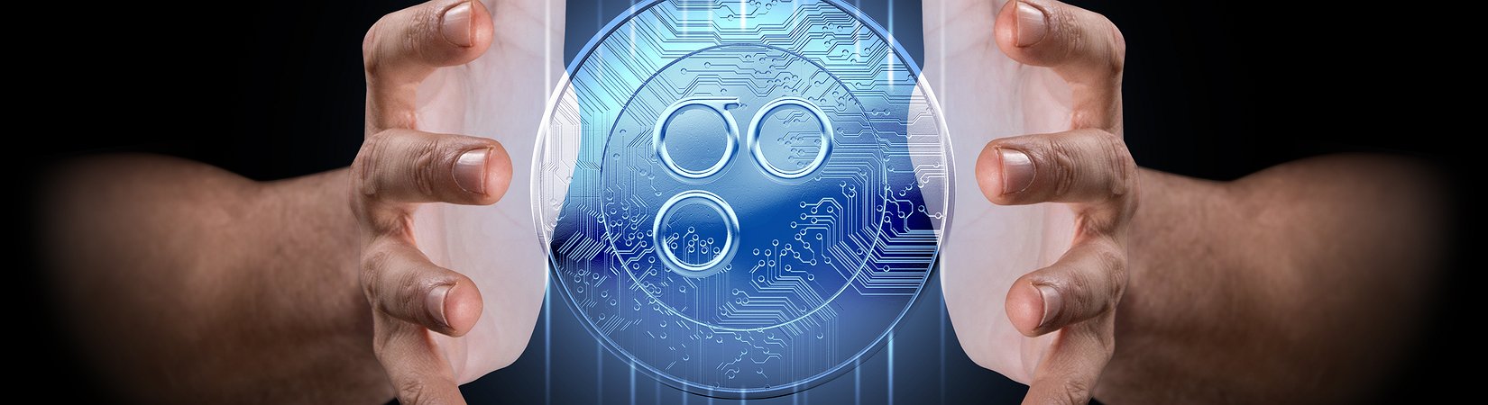 Criptomoneda OmiseGO: guía completa