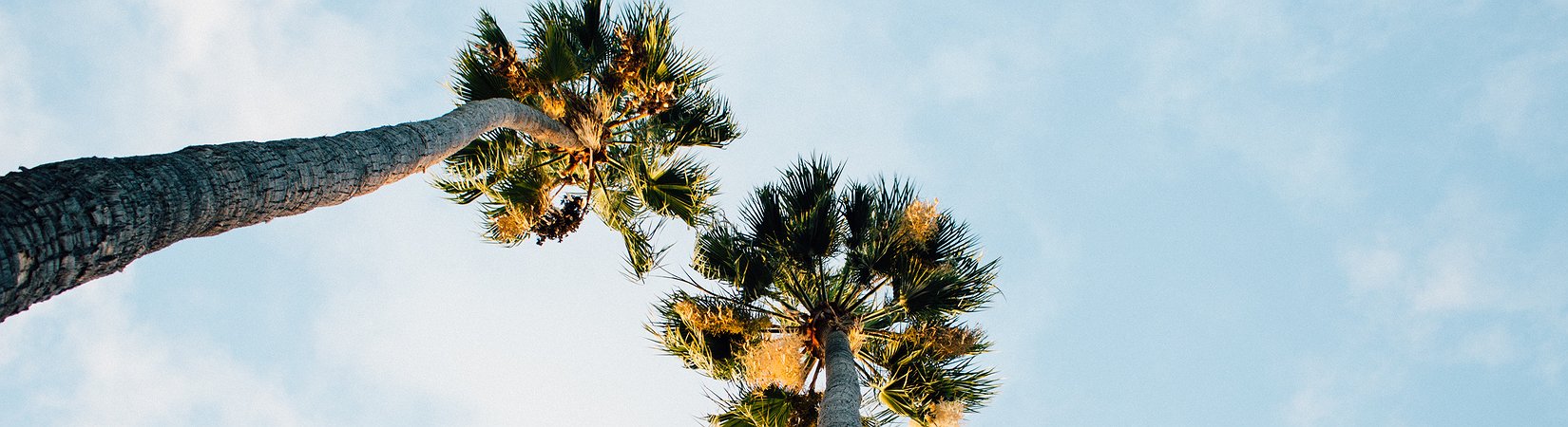 Revisión del mercado de las criptomonedas del 30/05/2018