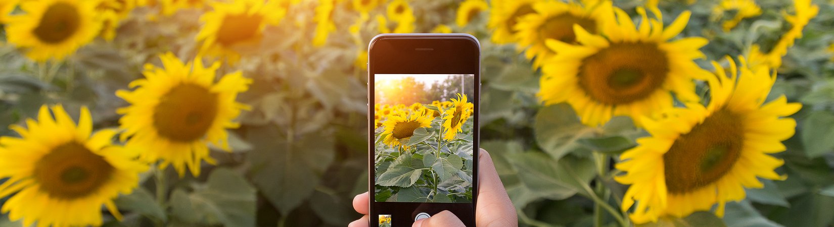 10 extraños pero útiles accesorios para tu iPhone