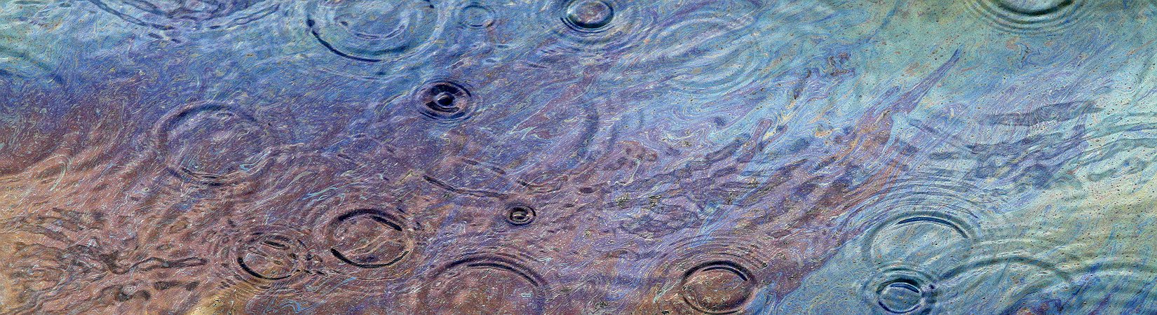 حماة البيئة في مواجهة النفط 