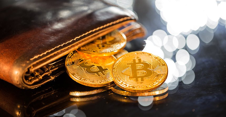 محفظة العملات المشفرة: كيف تعمل