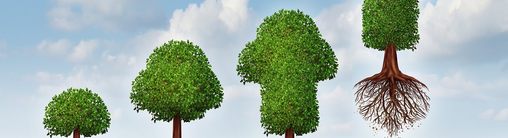 Polkadot Officially Releases Parachain And Slot Auction Rollout Plan, Setting Up Full Protocol Launch