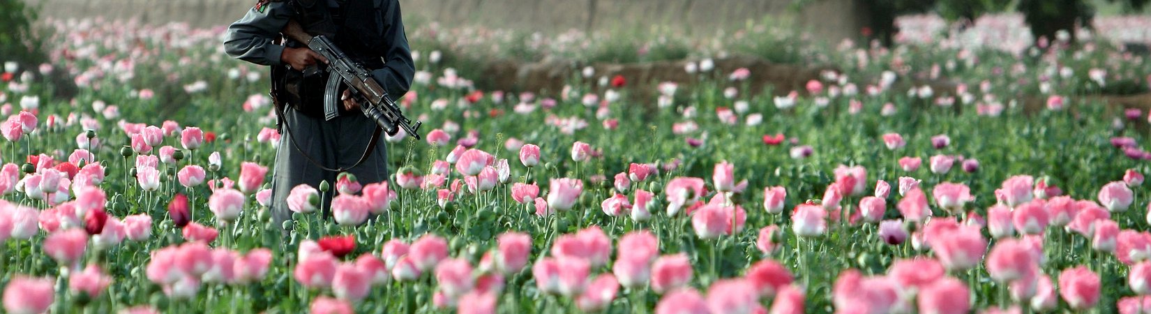 كيف تخسر 7.6 مليار دولار