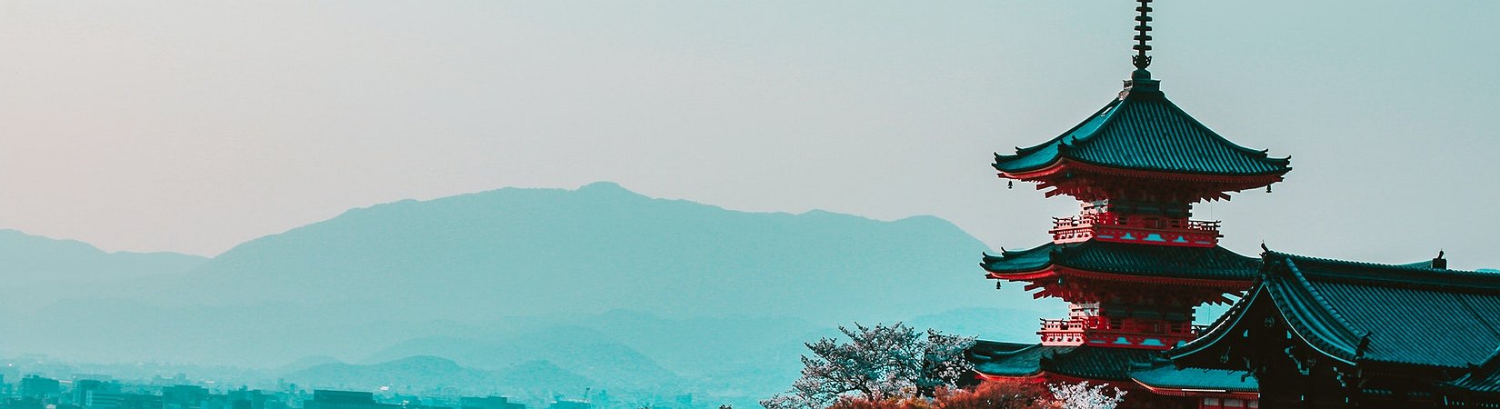 Japan to Tighten Law to Prevent Russia from Evading Sanctions with Crypto