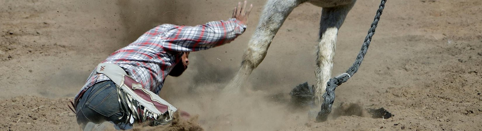 Bitcoin Network Fees Plummet