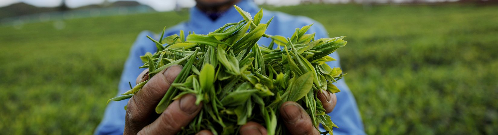 5 lecciones que puede aprender de una ICO que robó 47 millones de dólares