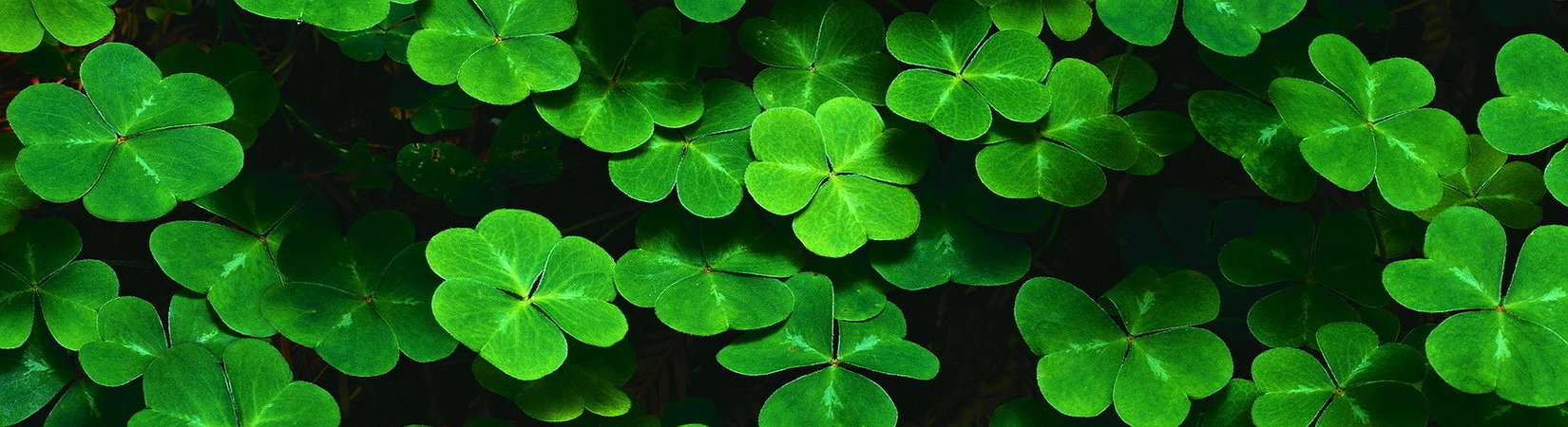 هل يجدر بك فعل ذلك ؟ 