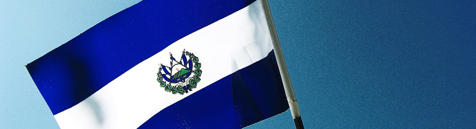 Survey: El Salvador's Experiment with Bitcoin Has Failed