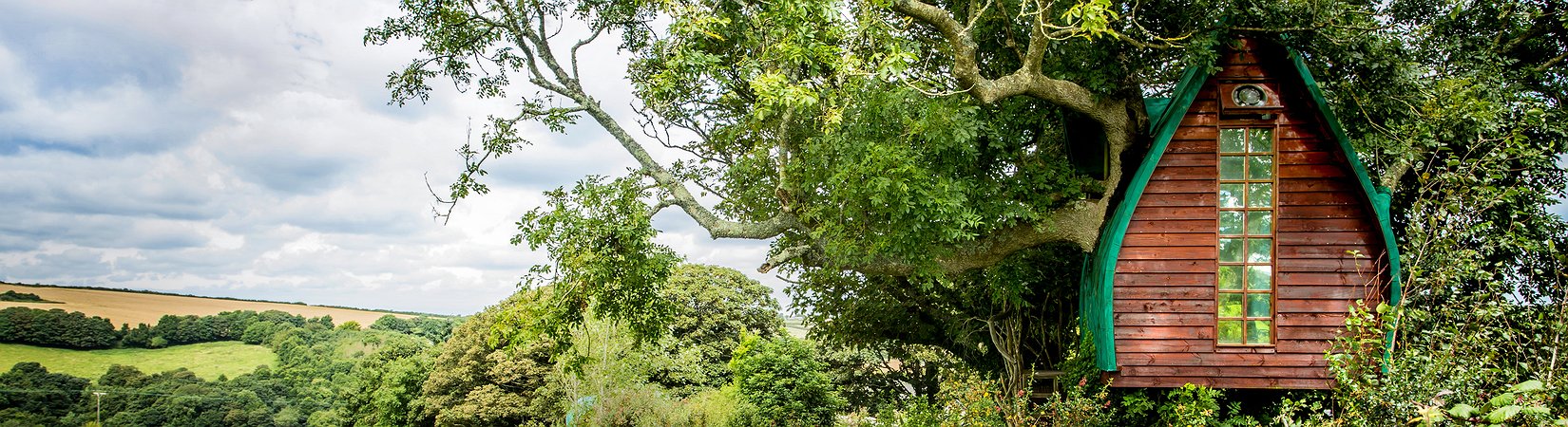 أغرب بيوت للتأجير