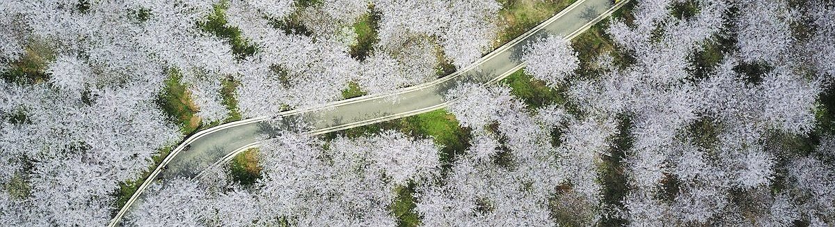 بالصور: صور جوية للأرض الأكثر إثارة في عام 2017