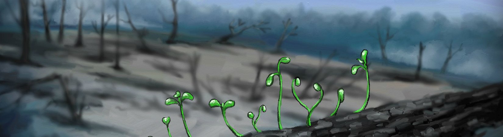 Criptomoedas: as principais notícias de hoje