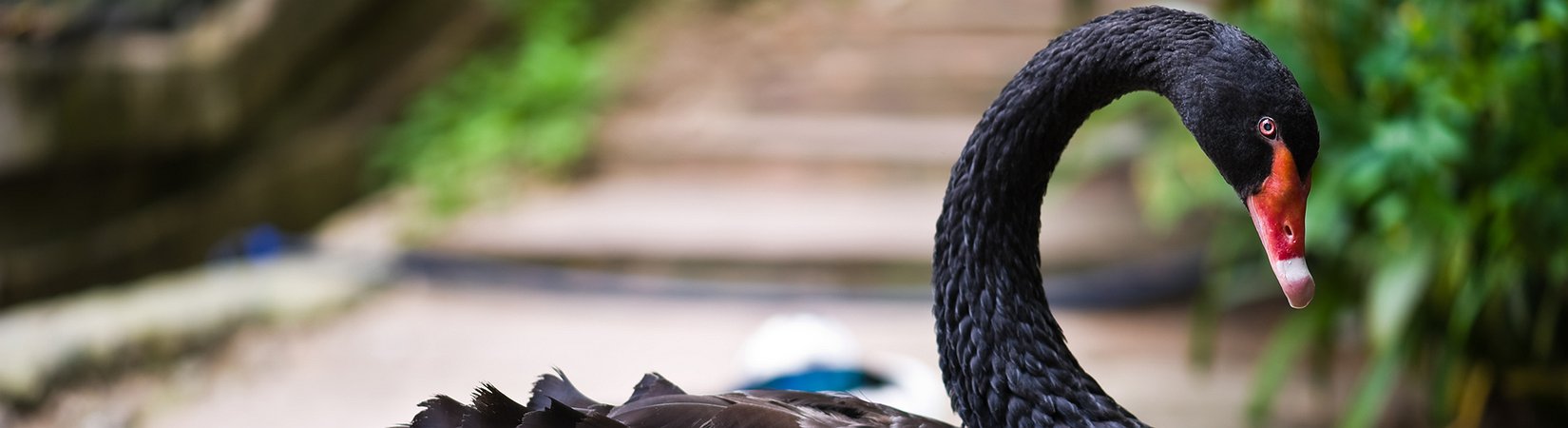 هل انخفاض أسعار النفط جزء من الدورة التاريخية؟