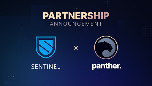 Panther Protocol Partners with Decentralized VPN Ecosystem Sentinel