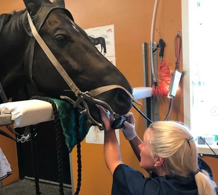 ¿Cómo se gastan su dinero y tiempo los 5 multimillonarios más jóvenes del mundo?