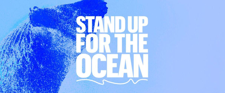 The SOS Foundation to Partner with Project Zero to Restore the Ocean