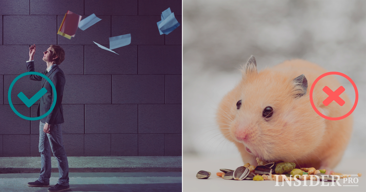 ¿Qué le impide ser un buen operador?