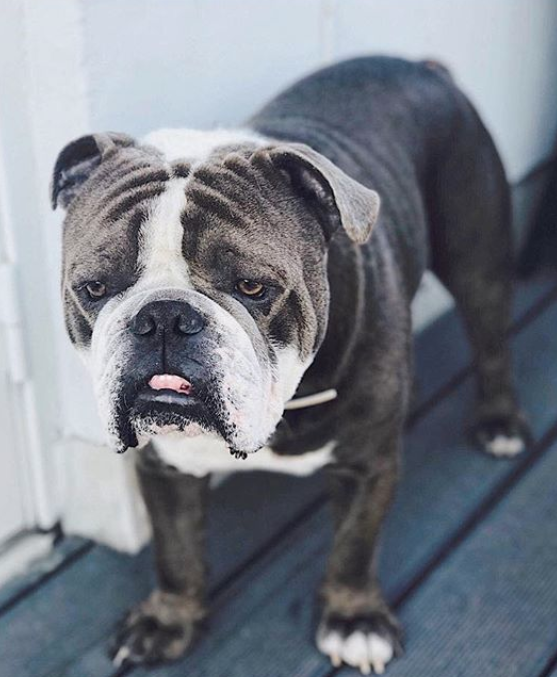 ¿Cómo se gastan su dinero y tiempo los 5 multimillonarios más jóvenes del mundo?