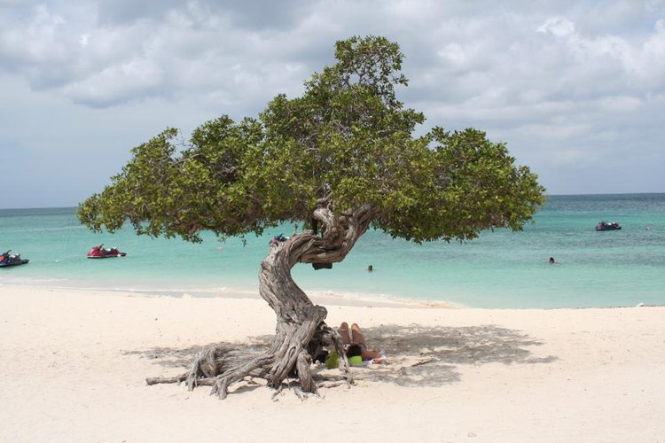 Desde las Islas Cook hasta Islandia: las 50 mejores playas del mundo