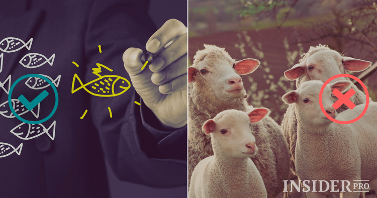 ¿Qué le impide ser un buen operador?