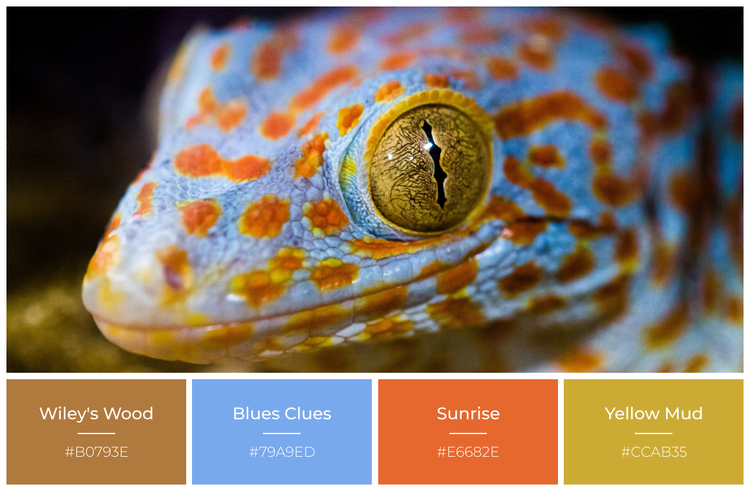 Bringing Unique Collections of Handcrafted Colors to the NFT Market, the BitColors Vision