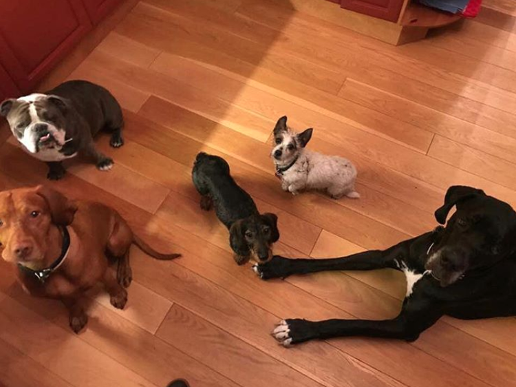 ¿Cómo se gastan su dinero y tiempo los 5 multimillonarios más jóvenes del mundo?