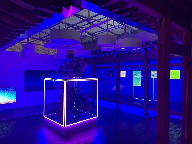 3Space Art Kicks Off "Enter the Void," the First NFT Art Exhibition Held Simultaneously in a Physical Gallery and the Metaverse