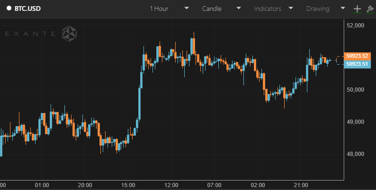 Bitcoin Hodls Near $51,000 as Crypto Found Support Line