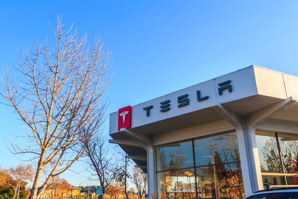 Теракт в СПб и победа Tesla: Эта неделя в фото