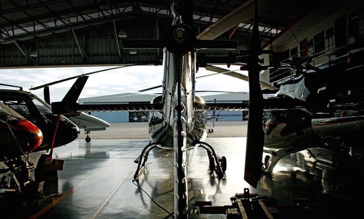 Las 10 historias más insólitas y sorprendentes sobre el éxito